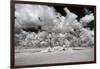 Awesome South Africa Collection - Another Look Savannah II-Philippe Hugonnard-Framed Photographic Print