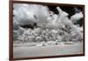 Awesome South Africa Collection - Another Look Savannah II-Philippe Hugonnard-Framed Photographic Print