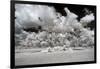 Awesome South Africa Collection - Another Look Savannah II-Philippe Hugonnard-Framed Photographic Print