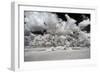 Awesome South Africa Collection - Another Look Savannah II-Philippe Hugonnard-Framed Photographic Print