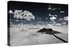 Awesome South Africa Collection - Another Look Savannah III-Philippe Hugonnard-Stretched Canvas