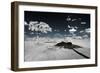 Awesome South Africa Collection - Another Look Savannah III-Philippe Hugonnard-Framed Photographic Print