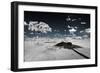 Awesome South Africa Collection - Another Look Savannah III-Philippe Hugonnard-Framed Photographic Print