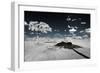 Awesome South Africa Collection - Another Look Savannah III-Philippe Hugonnard-Framed Photographic Print