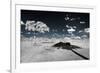 Awesome South Africa Collection - Another Look Savannah III-Philippe Hugonnard-Framed Photographic Print