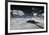 Awesome South Africa Collection - Another Look Savannah III-Philippe Hugonnard-Framed Photographic Print