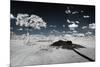 Awesome South Africa Collection - Another Look Savannah III-Philippe Hugonnard-Mounted Photographic Print