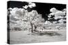 Awesome South Africa Collection - Another Look Savannah-Philippe Hugonnard-Stretched Canvas