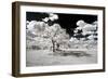 Awesome South Africa Collection - Another Look Savannah-Philippe Hugonnard-Framed Photographic Print