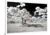 Awesome South Africa Collection - Another Look Savannah-Philippe Hugonnard-Framed Photographic Print