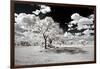 Awesome South Africa Collection - Another Look Savannah-Philippe Hugonnard-Framed Photographic Print