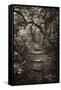 Awesome South Africa Collection B&W - African Forest I-Philippe Hugonnard-Framed Stretched Canvas