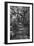 Awesome South Africa Collection B&W - African Forest-Philippe Hugonnard-Framed Photographic Print