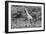 Awesome South Africa Collection B&W - African Giraffe III-Philippe Hugonnard-Framed Photographic Print