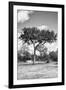 Awesome South Africa Collection B&W - African Landscape I-Philippe Hugonnard-Framed Photographic Print