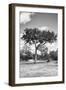 Awesome South Africa Collection B&W - African Landscape I-Philippe Hugonnard-Framed Photographic Print
