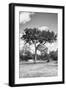 Awesome South Africa Collection B&W - African Landscape I-Philippe Hugonnard-Framed Photographic Print