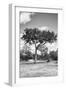 Awesome South Africa Collection B&W - African Landscape I-Philippe Hugonnard-Framed Photographic Print