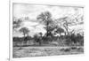 Awesome South Africa Collection B&W - African Landscape II-Philippe Hugonnard-Framed Photographic Print