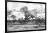 Awesome South Africa Collection B&W - African Landscape II-Philippe Hugonnard-Framed Photographic Print