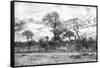 Awesome South Africa Collection B&W - African Landscape II-Philippe Hugonnard-Framed Stretched Canvas