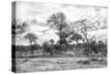 Awesome South Africa Collection B&W - African Landscape II-Philippe Hugonnard-Stretched Canvas