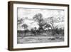 Awesome South Africa Collection B&W - African Landscape II-Philippe Hugonnard-Framed Photographic Print