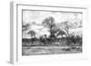 Awesome South Africa Collection B&W - African Landscape II-Philippe Hugonnard-Framed Photographic Print