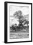 Awesome South Africa Collection B&W - African Landscape III-Philippe Hugonnard-Framed Photographic Print