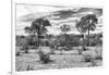 Awesome South Africa Collection B&W - African Landscape IV-Philippe Hugonnard-Framed Photographic Print