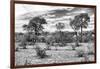 Awesome South Africa Collection B&W - African Landscape IV-Philippe Hugonnard-Framed Photographic Print