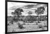 Awesome South Africa Collection B&W - African Landscape IV-Philippe Hugonnard-Framed Photographic Print