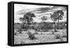 Awesome South Africa Collection B&W - African Landscape IV-Philippe Hugonnard-Framed Stretched Canvas