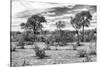 Awesome South Africa Collection B&W - African Landscape IV-Philippe Hugonnard-Stretched Canvas