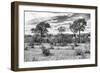 Awesome South Africa Collection B&W - African Landscape IV-Philippe Hugonnard-Framed Photographic Print