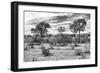 Awesome South Africa Collection B&W - African Landscape IV-Philippe Hugonnard-Framed Photographic Print