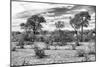 Awesome South Africa Collection B&W - African Landscape IV-Philippe Hugonnard-Mounted Photographic Print
