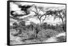 Awesome South Africa Collection B&W - African Landscape IX-Philippe Hugonnard-Framed Stretched Canvas