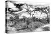 Awesome South Africa Collection B&W - African Landscape IX-Philippe Hugonnard-Stretched Canvas