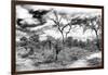 Awesome South Africa Collection B&W - African Landscape IX-Philippe Hugonnard-Framed Photographic Print