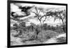 Awesome South Africa Collection B&W - African Landscape IX-Philippe Hugonnard-Framed Photographic Print