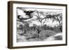 Awesome South Africa Collection B&W - African Landscape IX-Philippe Hugonnard-Framed Photographic Print