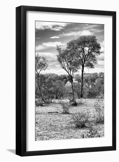 Awesome South Africa Collection B&W - African Landscape V-Philippe Hugonnard-Framed Photographic Print