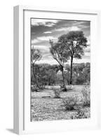 Awesome South Africa Collection B&W - African Landscape V-Philippe Hugonnard-Framed Photographic Print