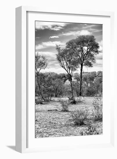 Awesome South Africa Collection B&W - African Landscape V-Philippe Hugonnard-Framed Photographic Print