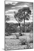 Awesome South Africa Collection B&W - African Landscape V-Philippe Hugonnard-Mounted Photographic Print