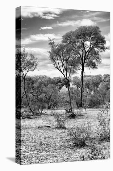 Awesome South Africa Collection B&W - African Landscape V-Philippe Hugonnard-Stretched Canvas