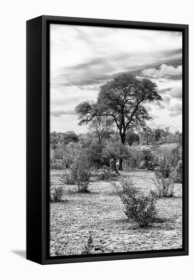 Awesome South Africa Collection B&W - African Landscape VI-Philippe Hugonnard-Framed Stretched Canvas