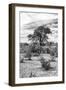 Awesome South Africa Collection B&W - African Landscape VI-Philippe Hugonnard-Framed Photographic Print