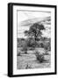 Awesome South Africa Collection B&W - African Landscape VI-Philippe Hugonnard-Framed Photographic Print